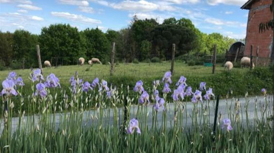 La Banne Nord Villa Val de Louyre et Caudeau Eksteriør billede